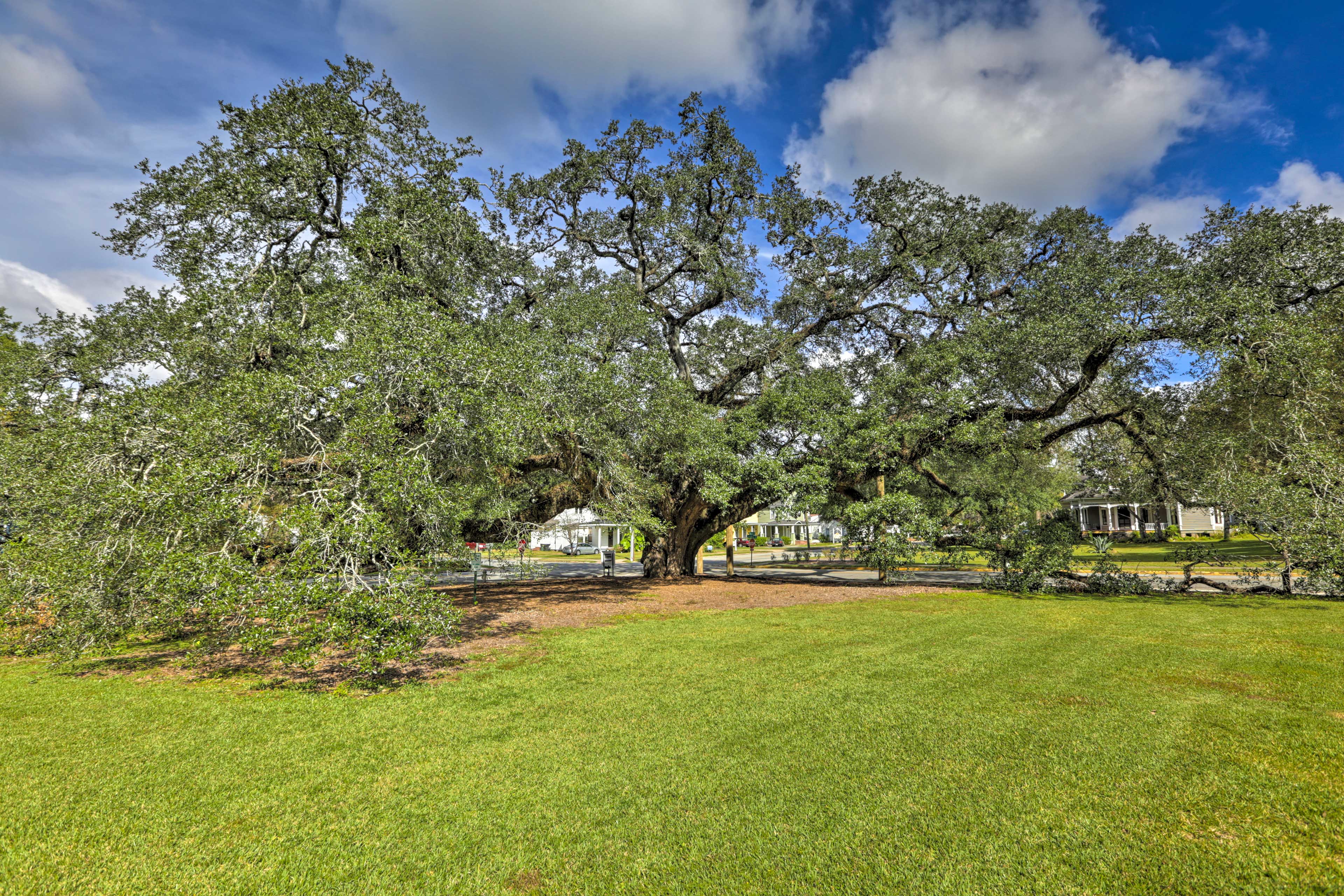 Property Image 1 - Thomasville Cottage Near The Big Oak & Downtown!