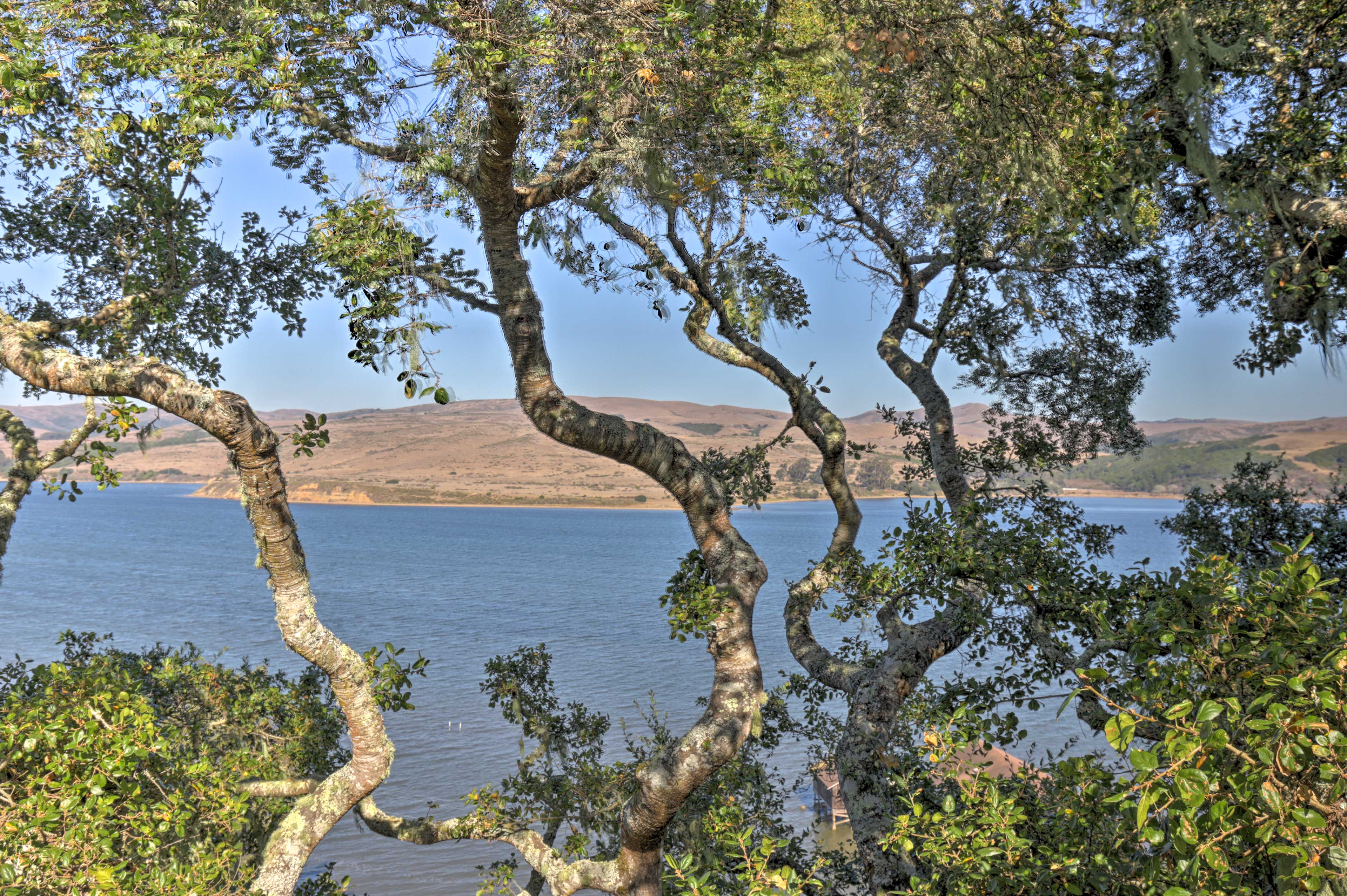 Property Image 1 - Hillside Home w/ Deck & Views of Tomales Bay!