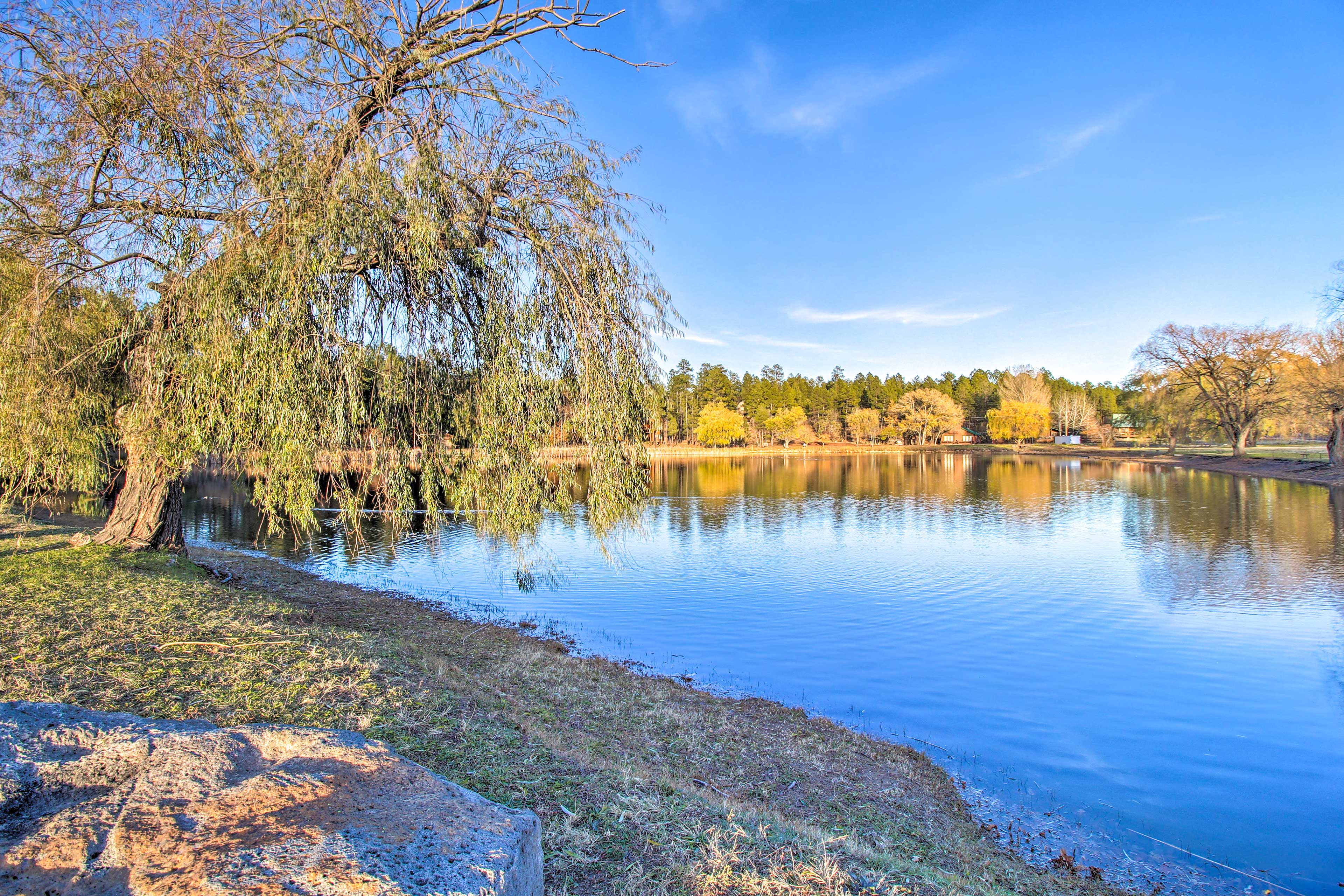 Property Image 1 - Arizona Getaway w/ Fire Pit, BBQ & On-Site Lake!