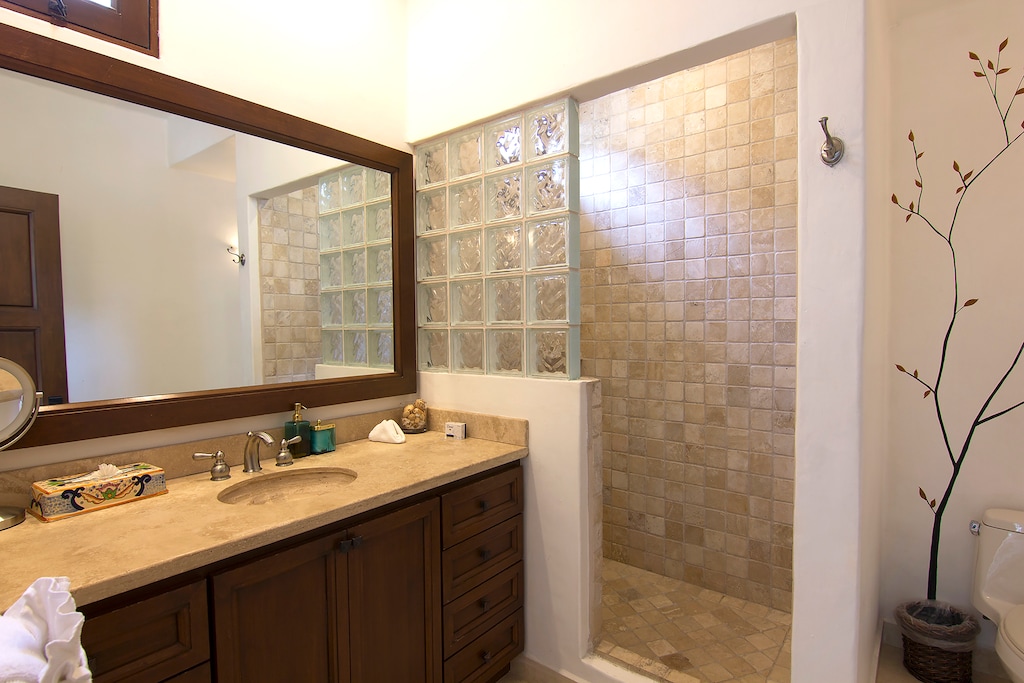 En-suite bathroom with walk-in shower
