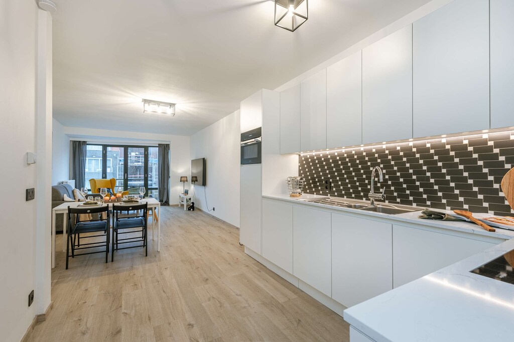 Nice apartment with well-equipped kitchen