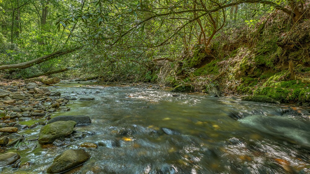 Property Image 2 - Water’s Edge - Pet Friendly | Creek Front | Hot Tub | Fire Pit