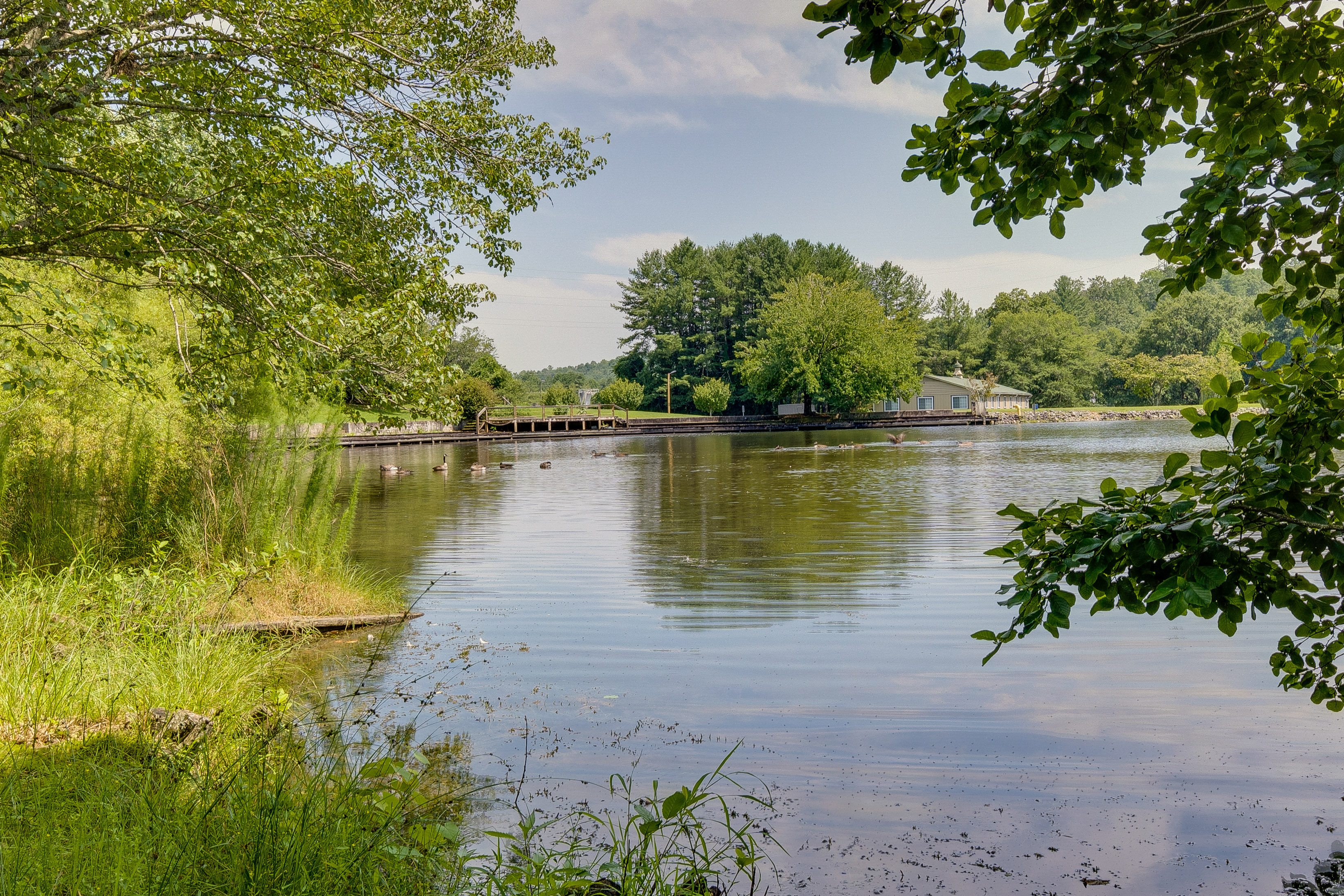 Property Image 1 - Dog-Friendly Mills River Retreat Near Hiking!