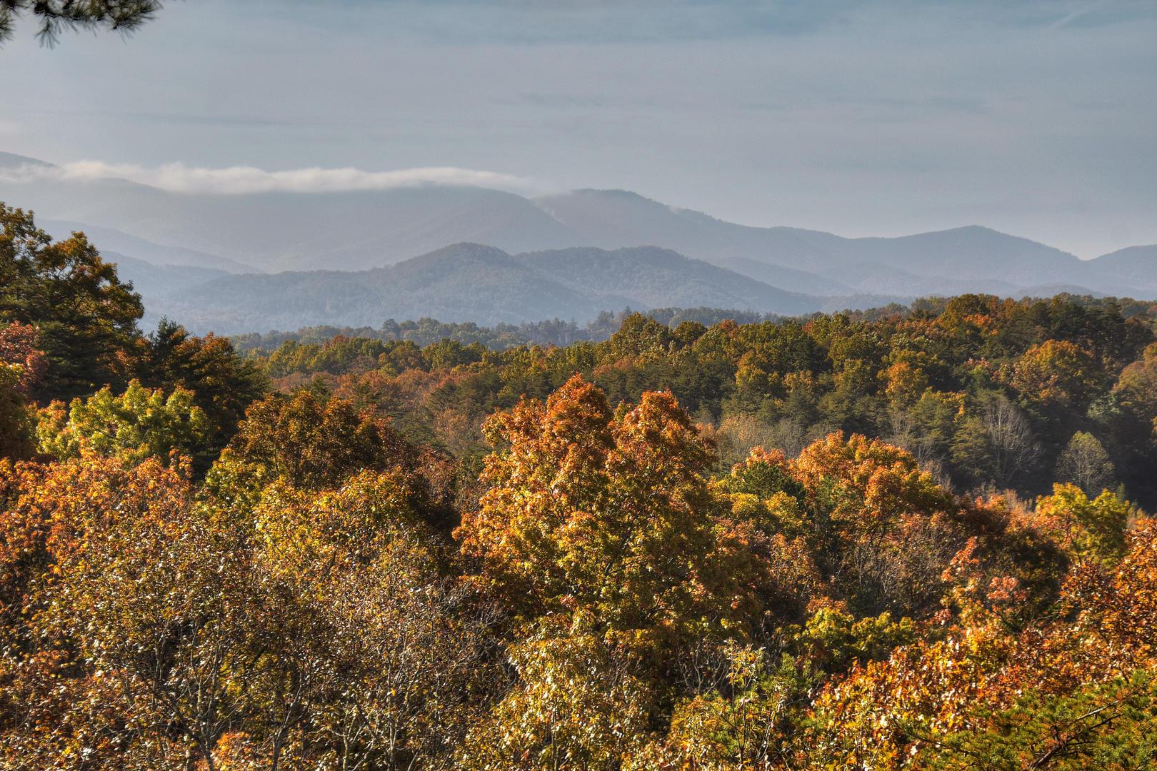 Property Image 2 - Appalachian View