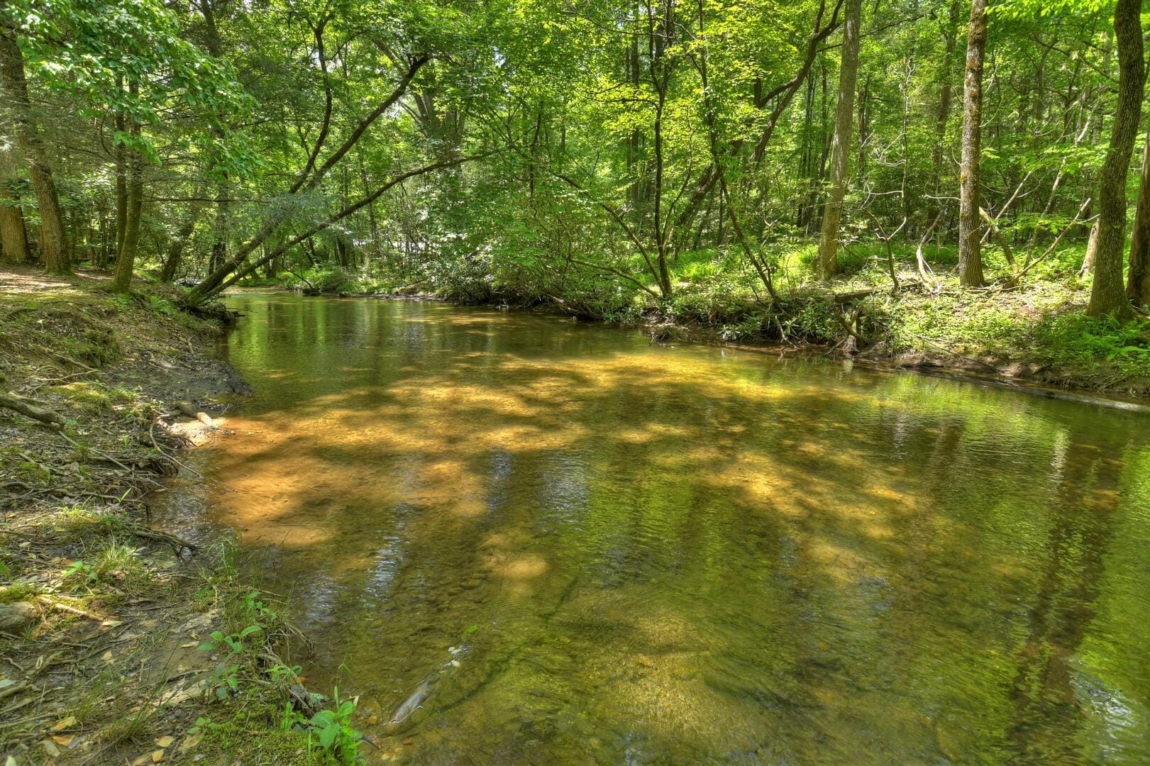 Property Image 2 - Sweet Serenity Creek