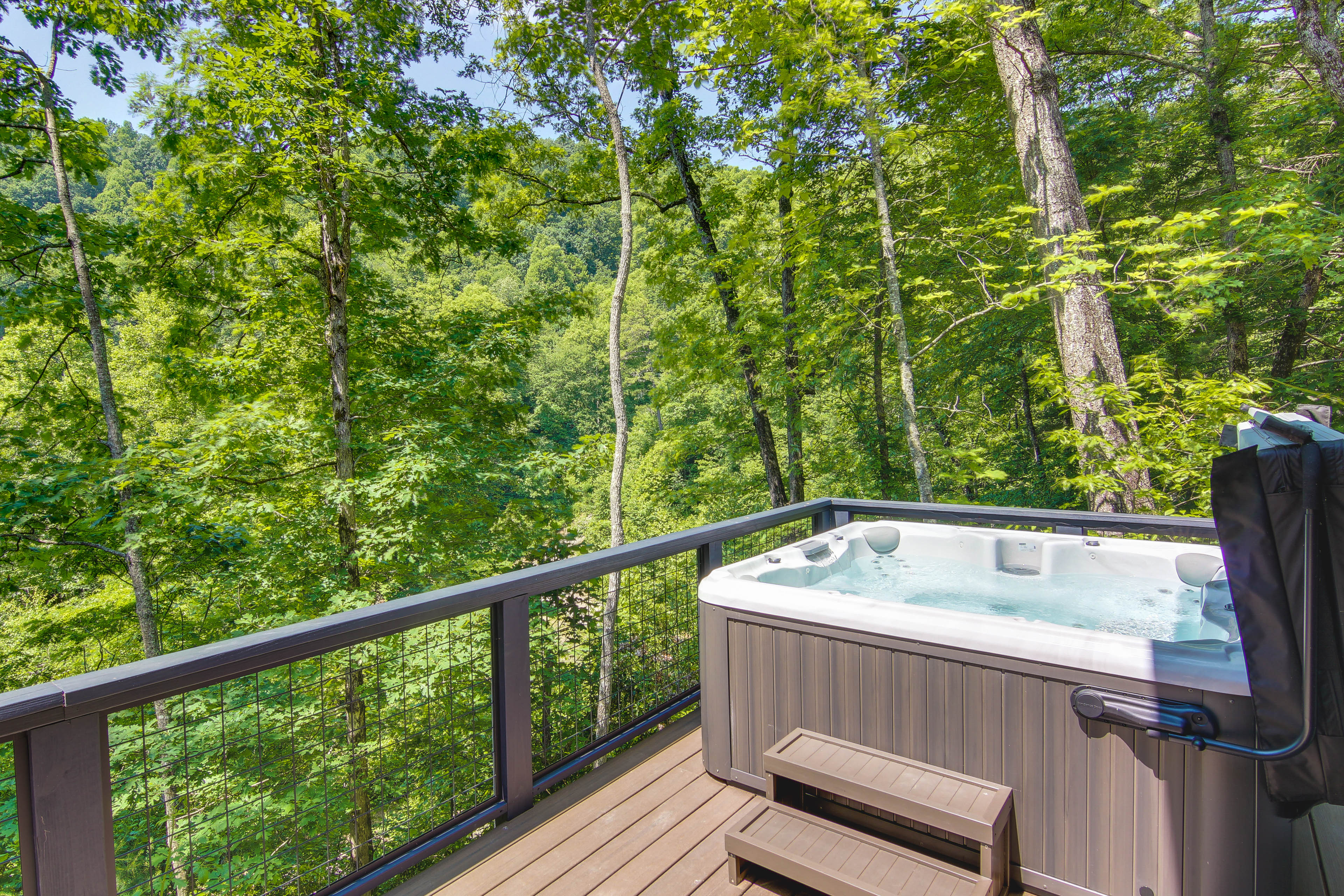 Property Image 2 - Black Mountain Cabin w/ Hot Tub & Pond On-Site