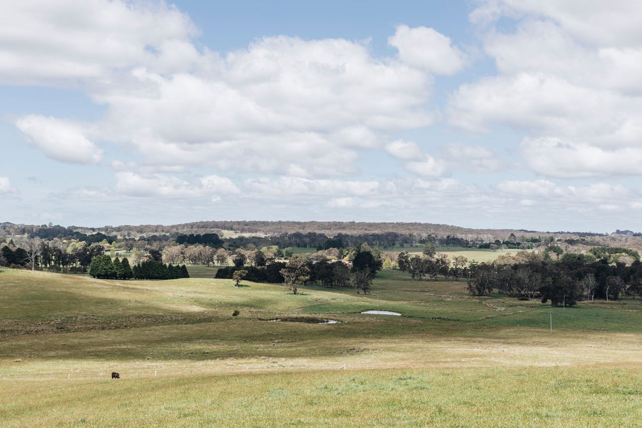 Daisy Hill, Southern Highlands