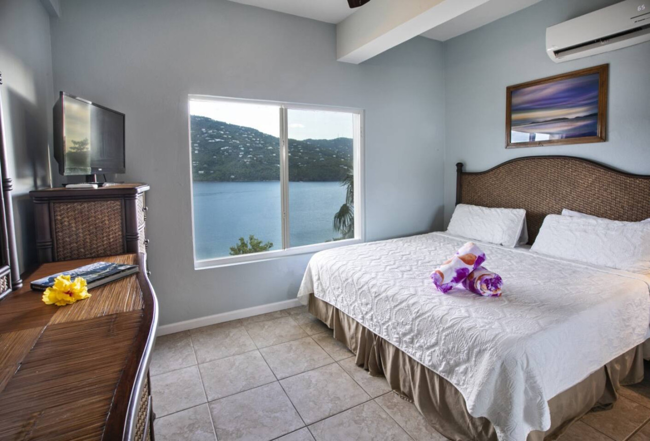 Property Image 2 - 1BR suite with amazing views and only 5 min from Magen’s Bay!