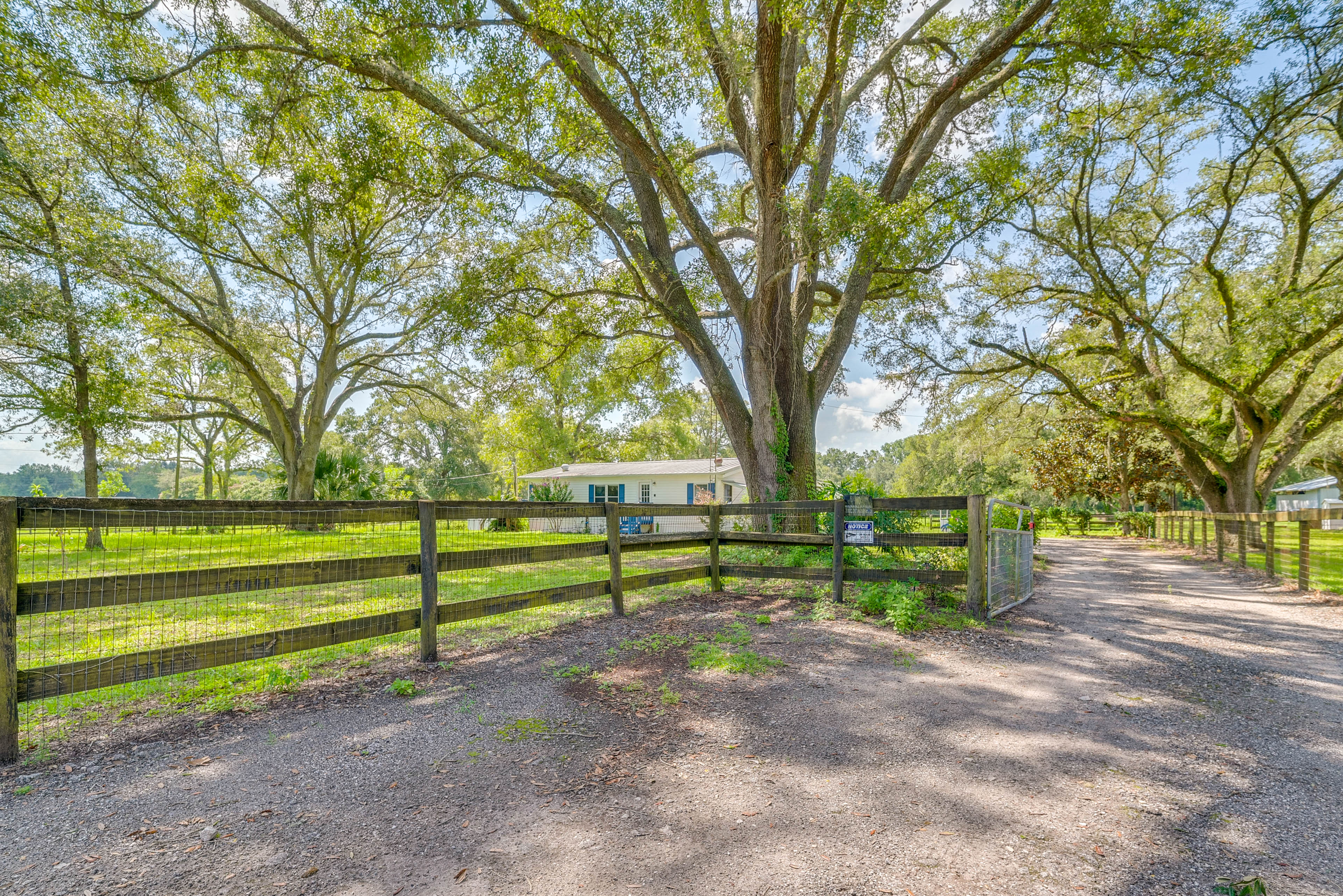 Property Image 2 - Pet-Friendly Ocala Vacation Rental w/ Patio!