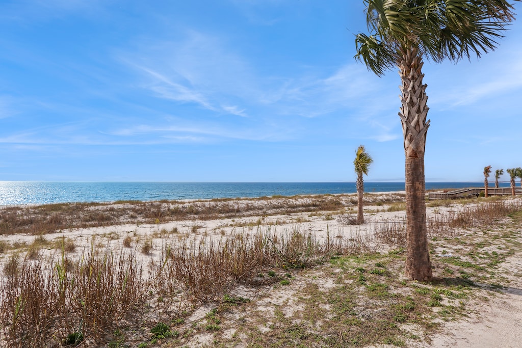 Beach in Front of House