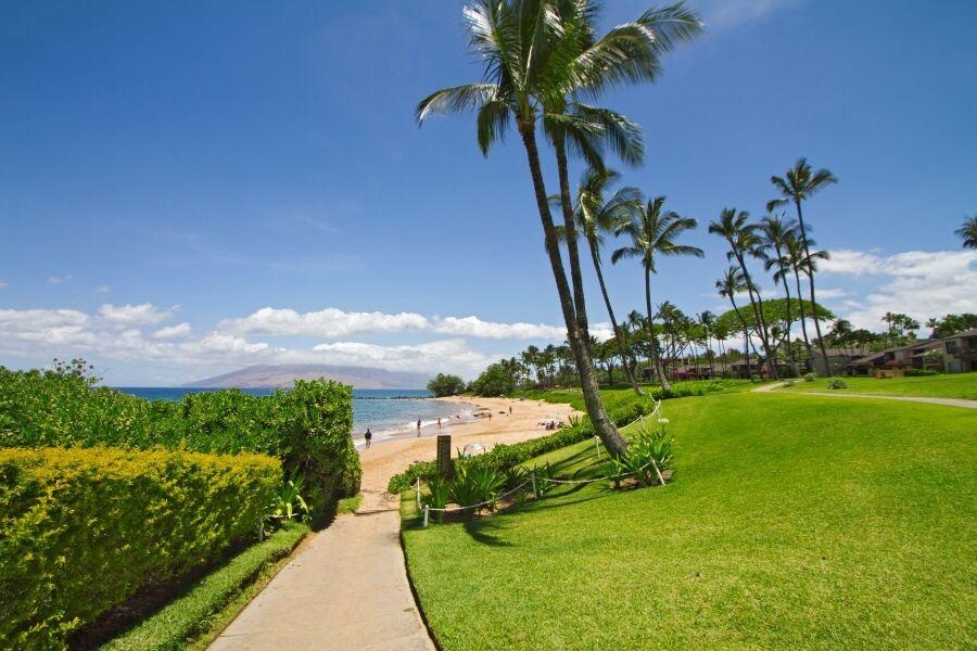 Wailea Elua 2201