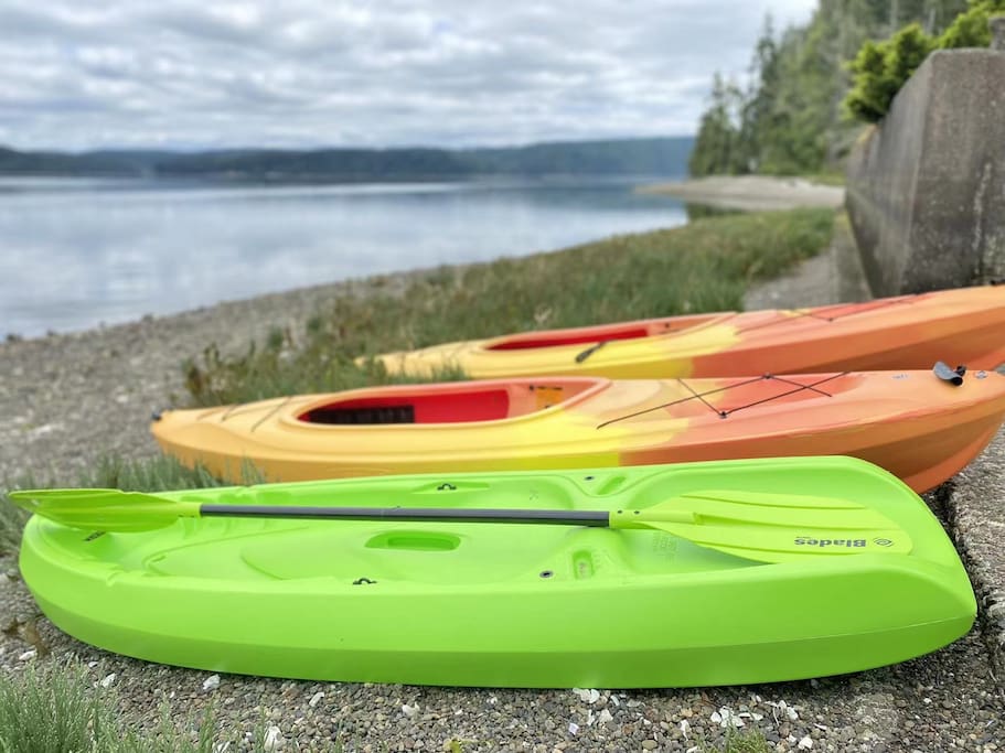 2 kayaks and a paddle board are waiting for you :-)