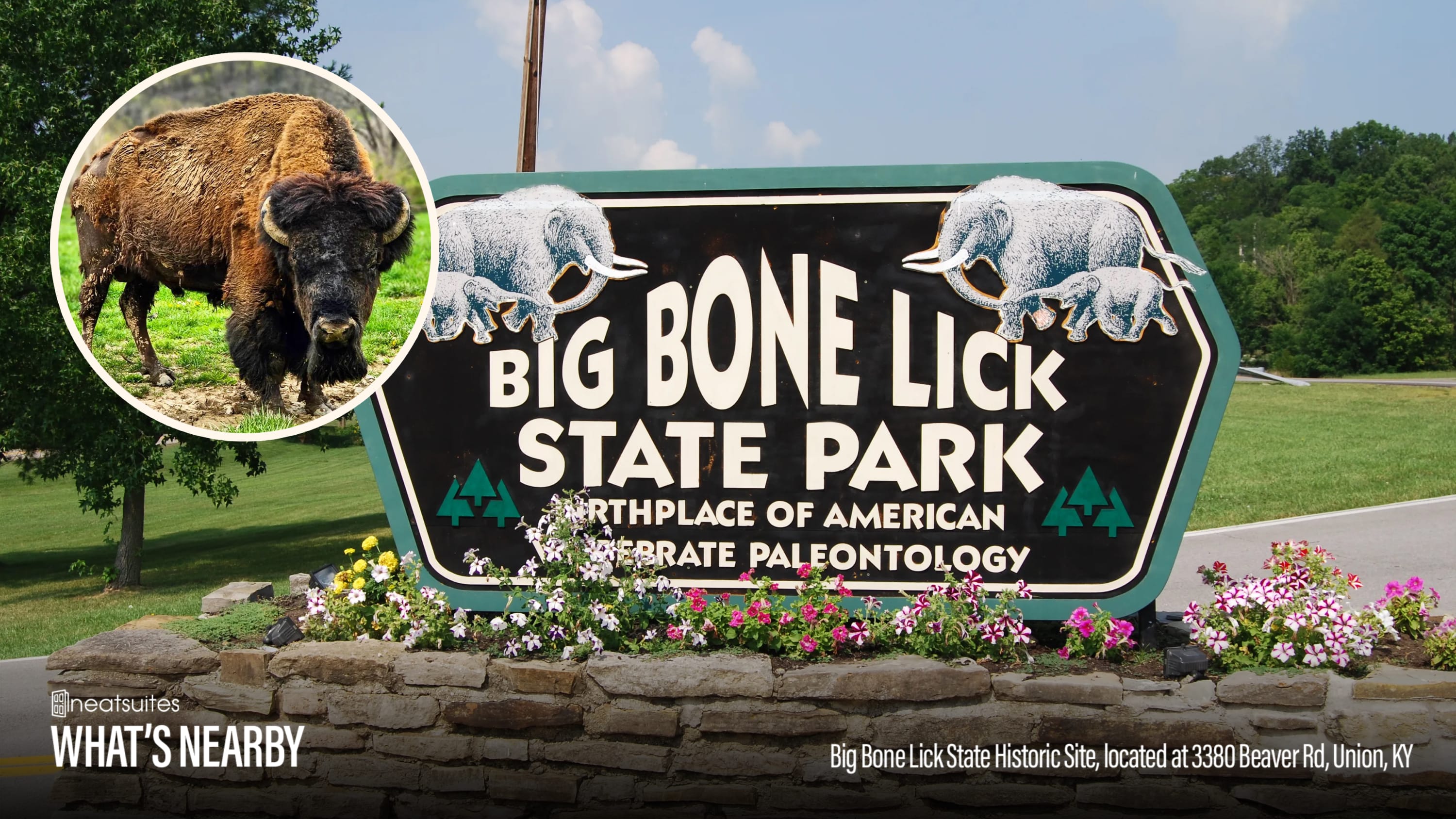 Explore Big Bone Lick State Park nearby