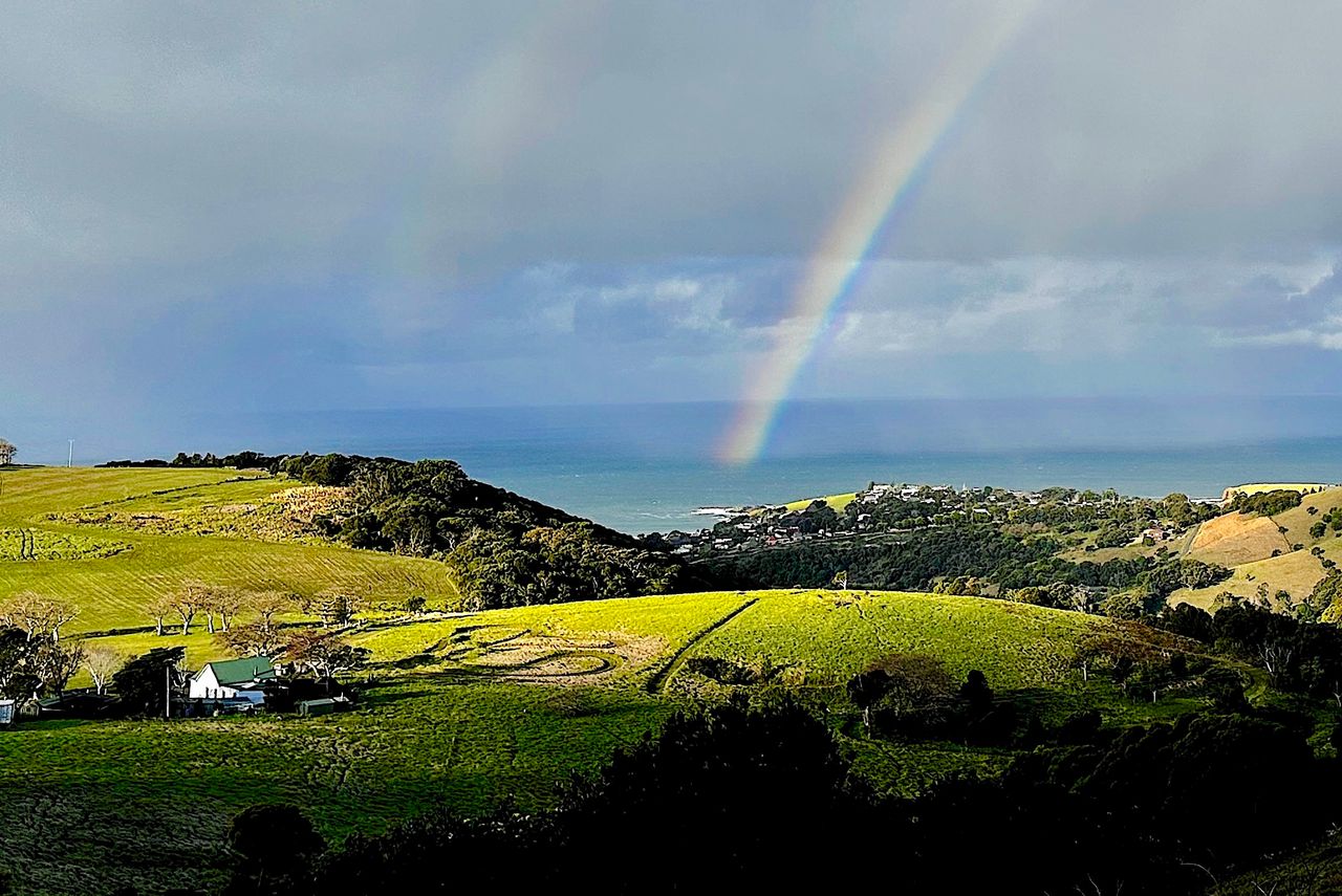 Property Image 1 - Saddleback Grove, Kiama