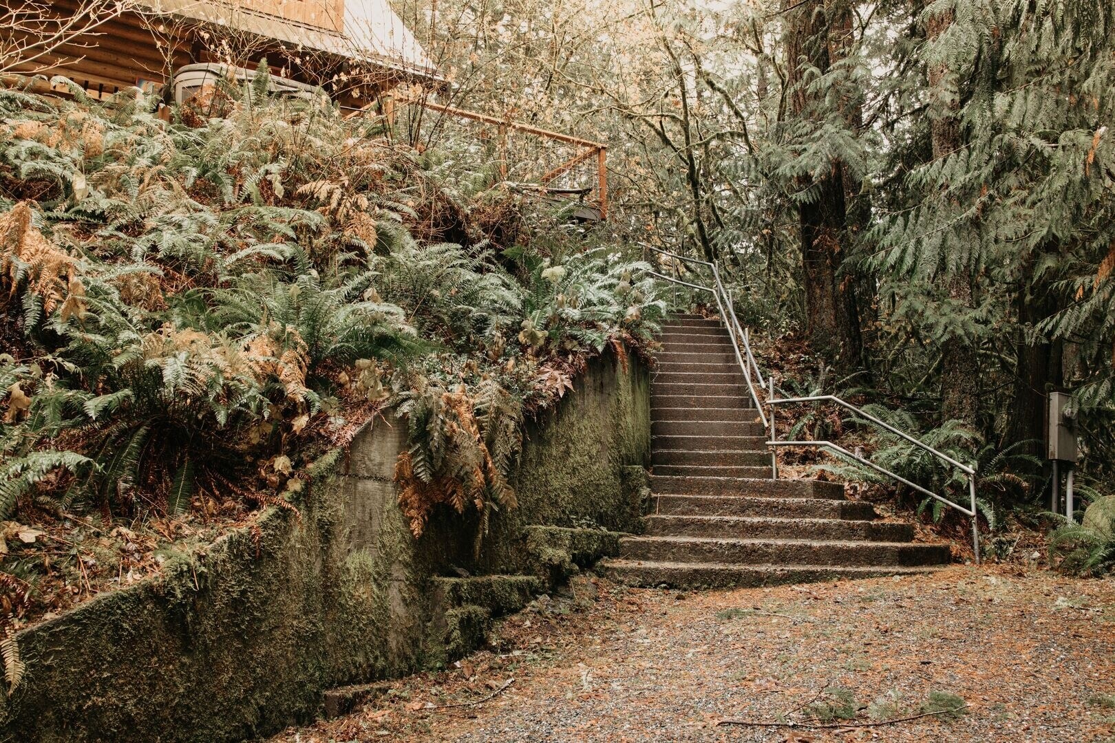 Outdoor steps and walk to cabin