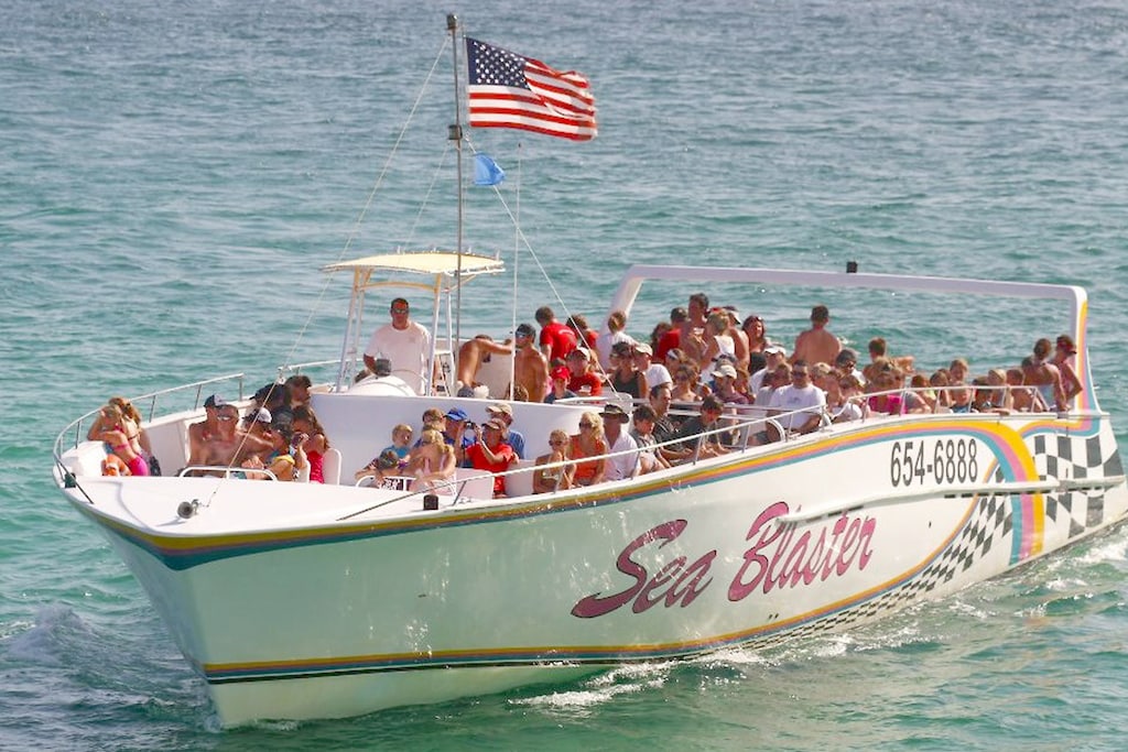 Dolphin Cruise aboard the Sea Blaster