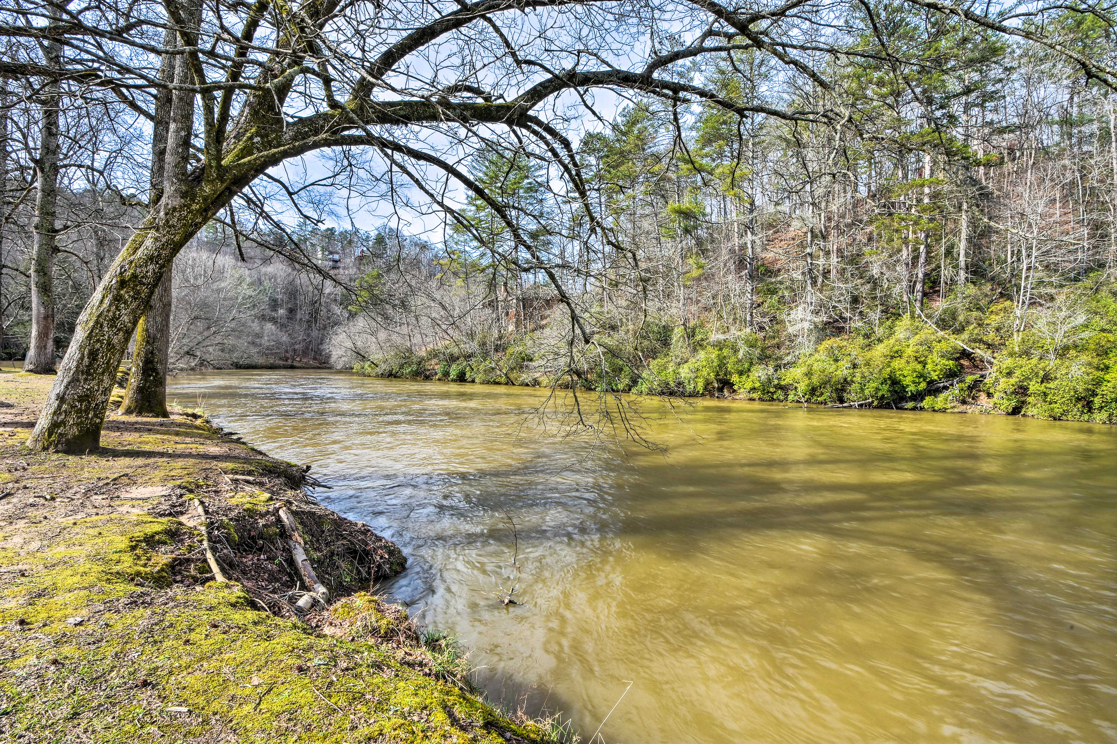 Peaceful Ellijay Cabin: Pool Access & Resort Perks