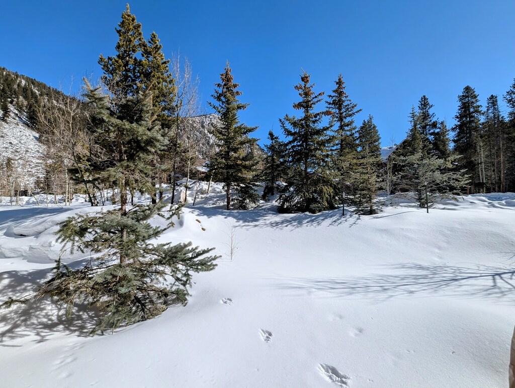 Private patio view #winter