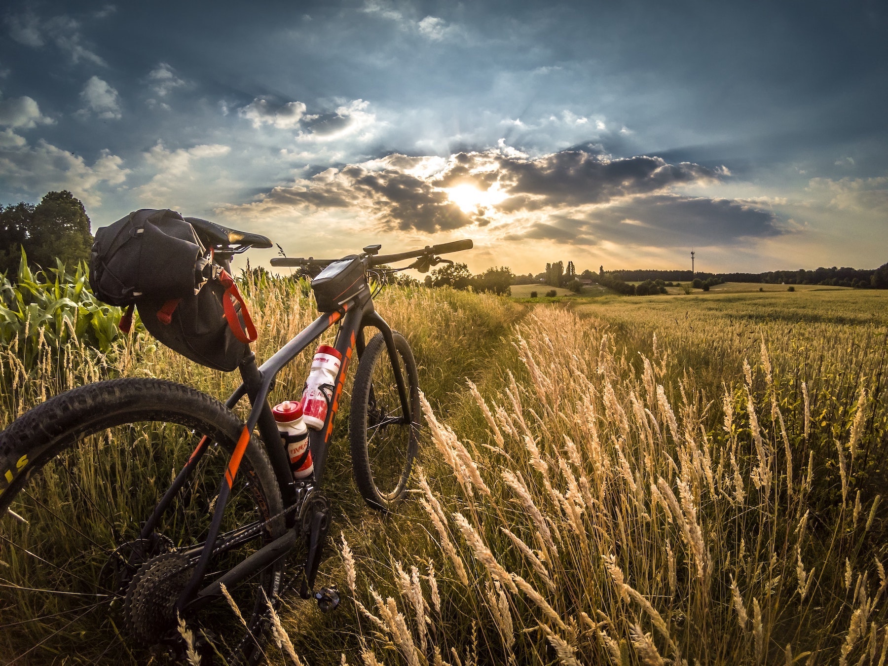 Northern Colorado offers many biking opportunities for all skill levels. Mountain biking, road biking, and paved trails are all available.