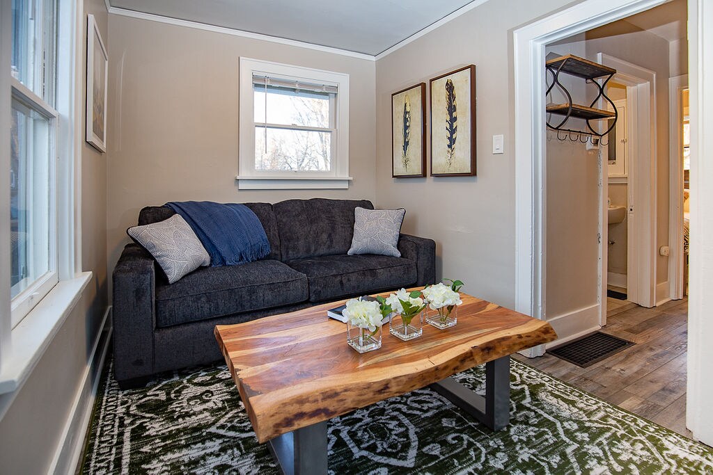 Living Room with Pull-out Sofa