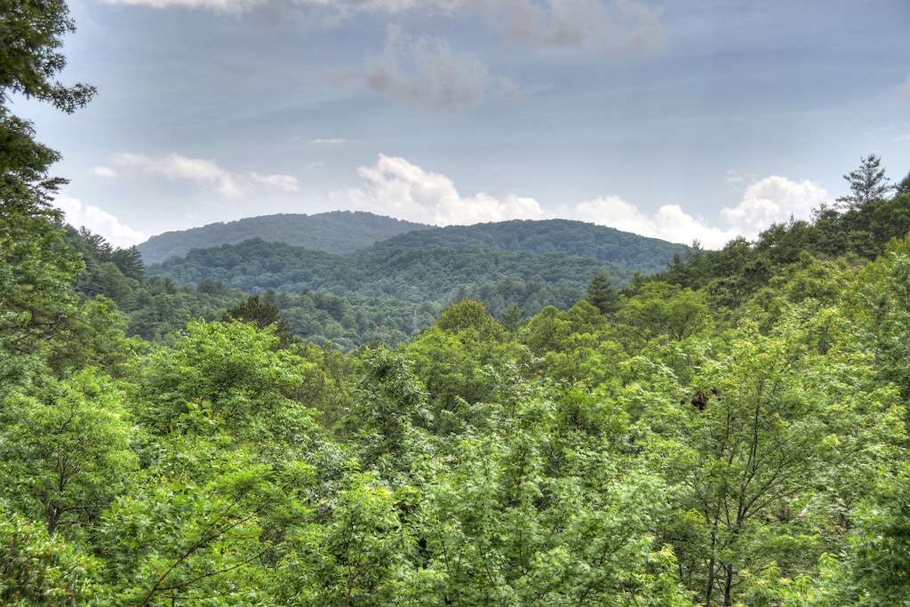 Ole Bear Paw Cabin - Forest and Mountain Views