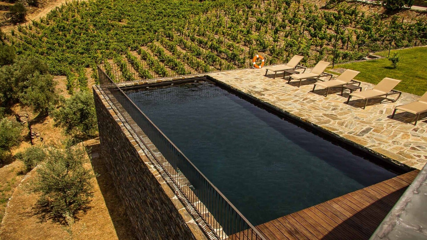 Property Image 2 - Vineyard Home Flying High over the Douro River