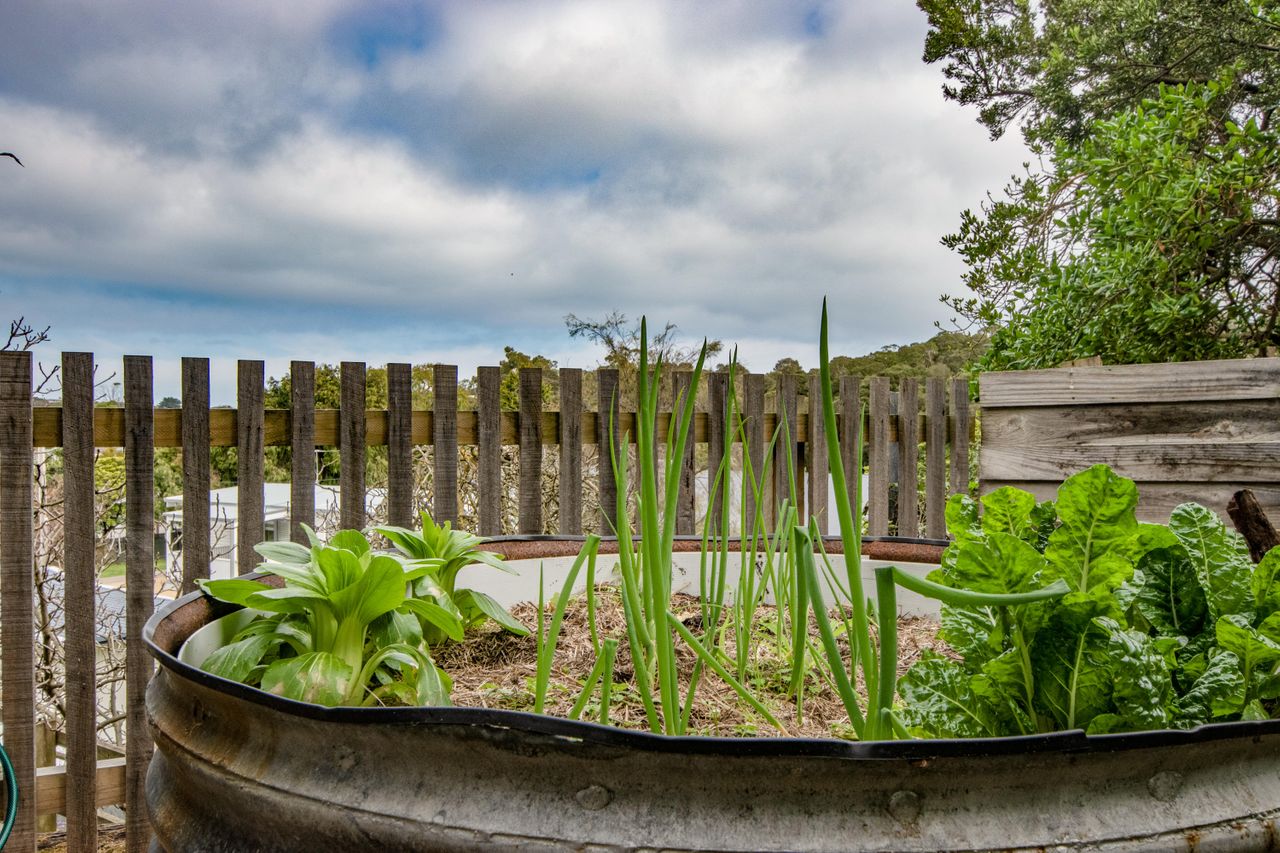 Tawny Rest, Coastal Beach House In Rye