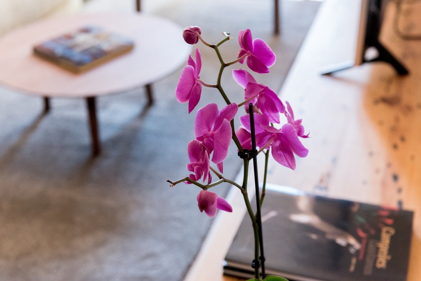 Luxury 1-bedroom Lisbon apartment in Chiado