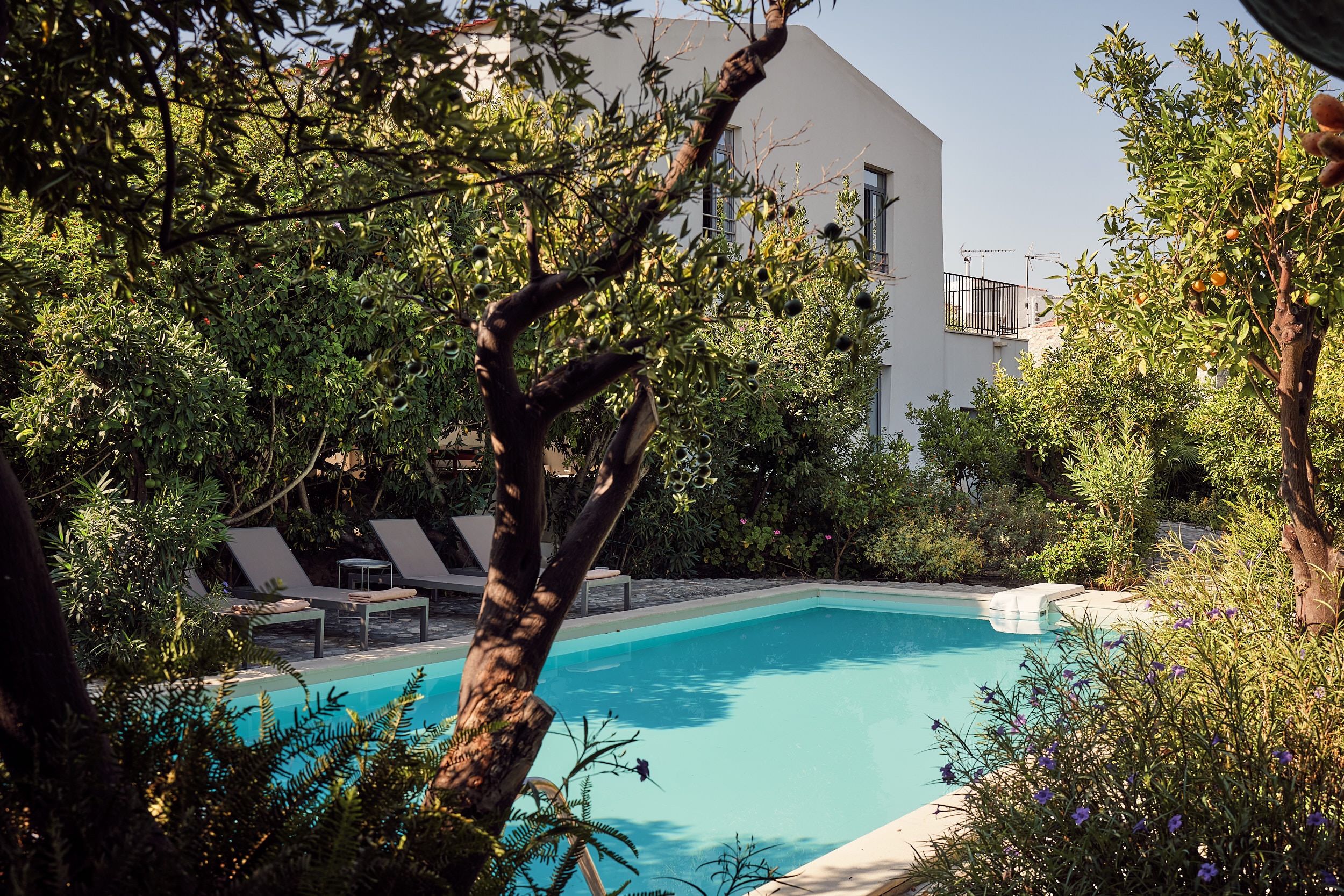 Escape to a tranquil Cretan paradise surrounded by blooming gardens.