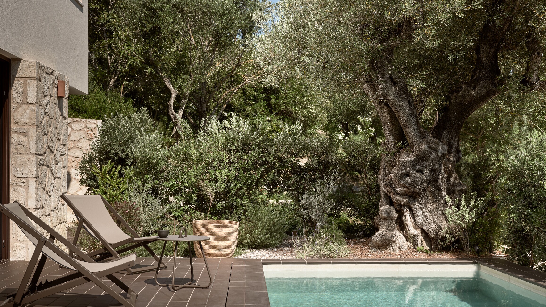 The private pool is surrounded by nature