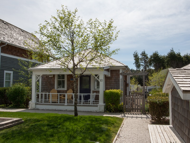 Welcome to Beach Reflections