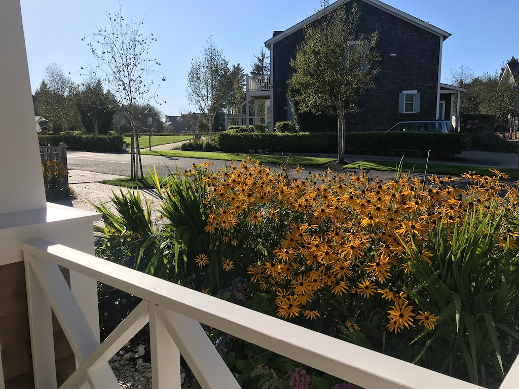 Beautiful views from the front porch of Beachcomber