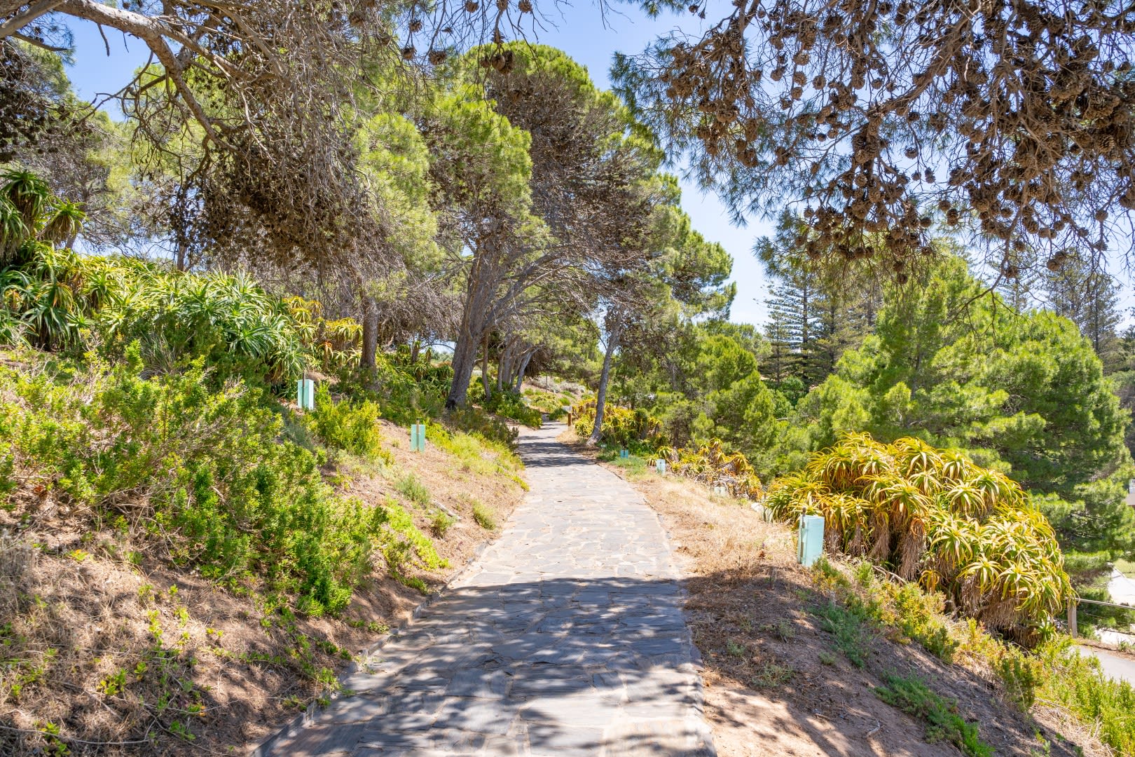 walking trail between knights beach and Horseshoe Bay