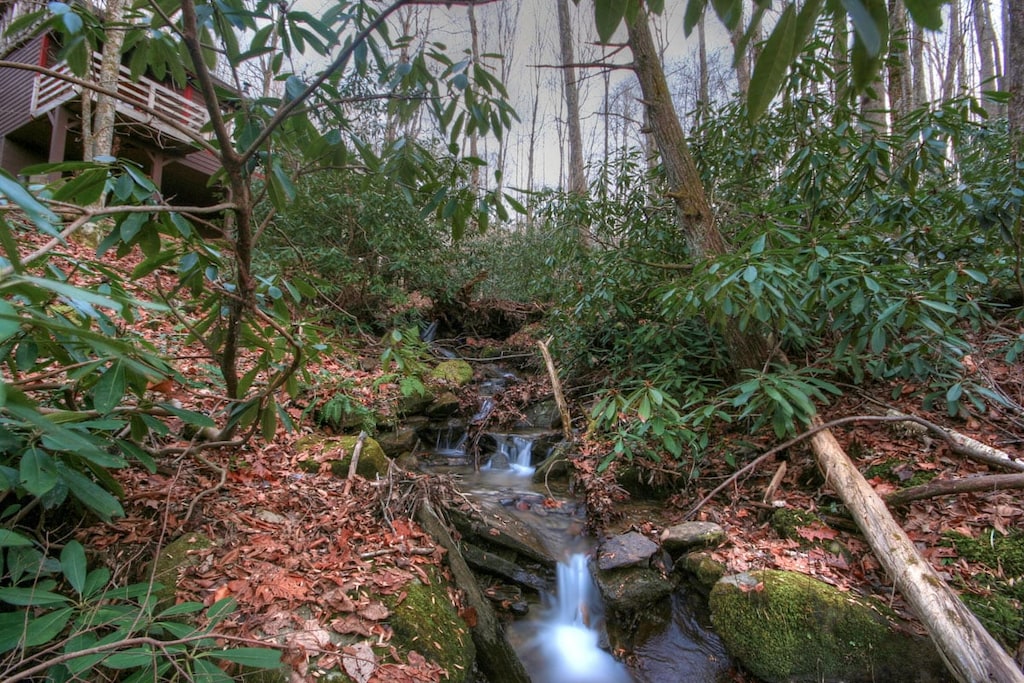 Mountain Stream Enjoyed from Deck