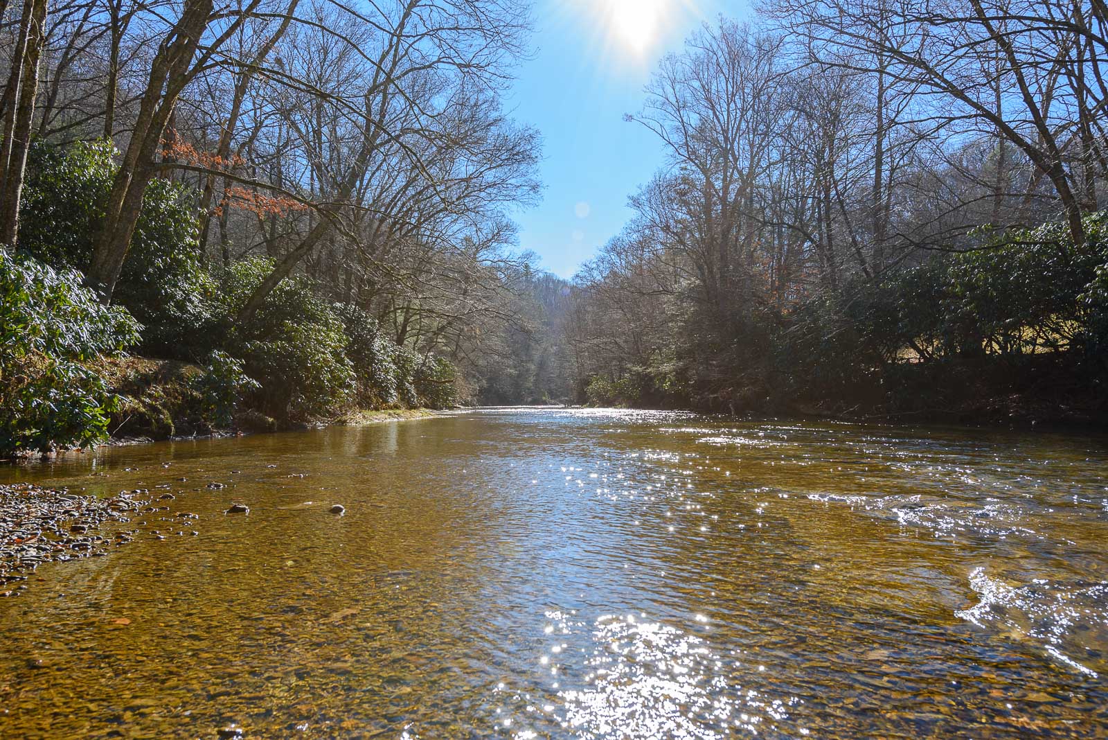 Watauga River just below Cottage