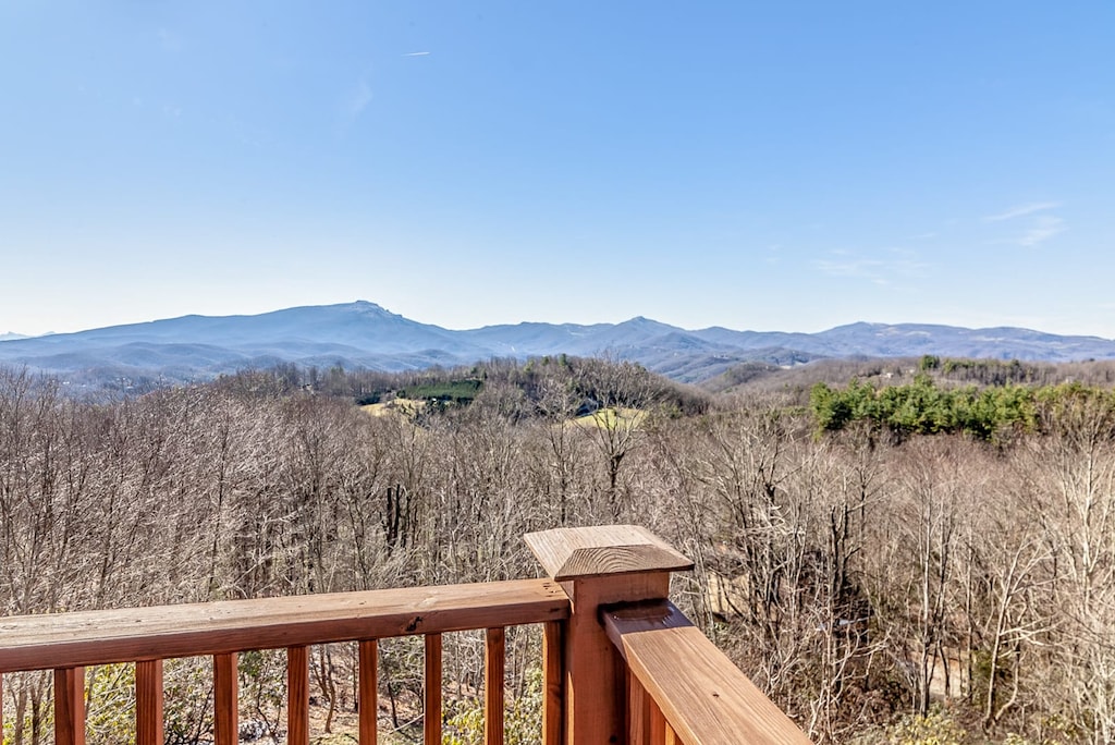 Mountain Views from the Rear Decks of Stone Ridge Lodge

(See note on Winter Access in Description)