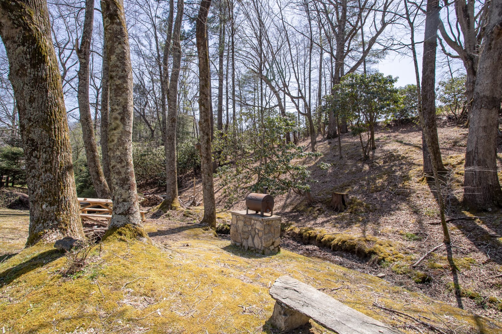 Creekside BBQ Grilling and Picnic area