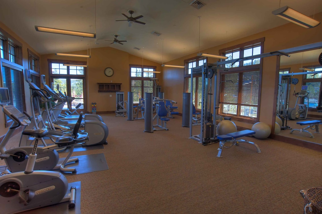 VillageSwimFitness (1)