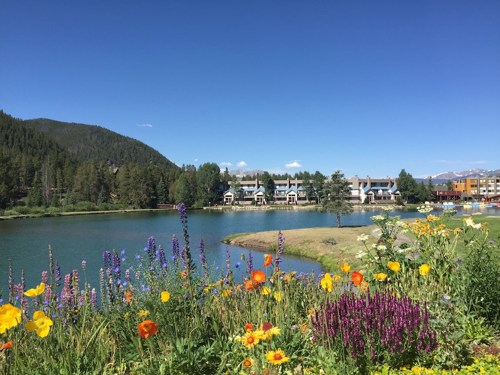 Stunning Flowers at Keystone Lake #summer