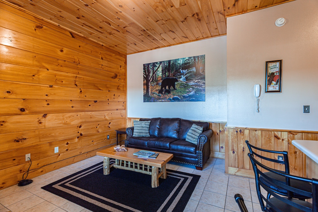 Downstairs Living Room