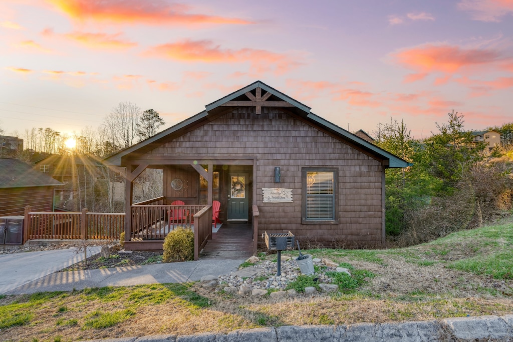 Welcome to Bear Cove!