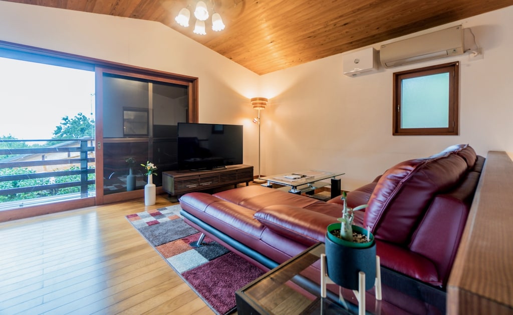 living room, TV, sofa