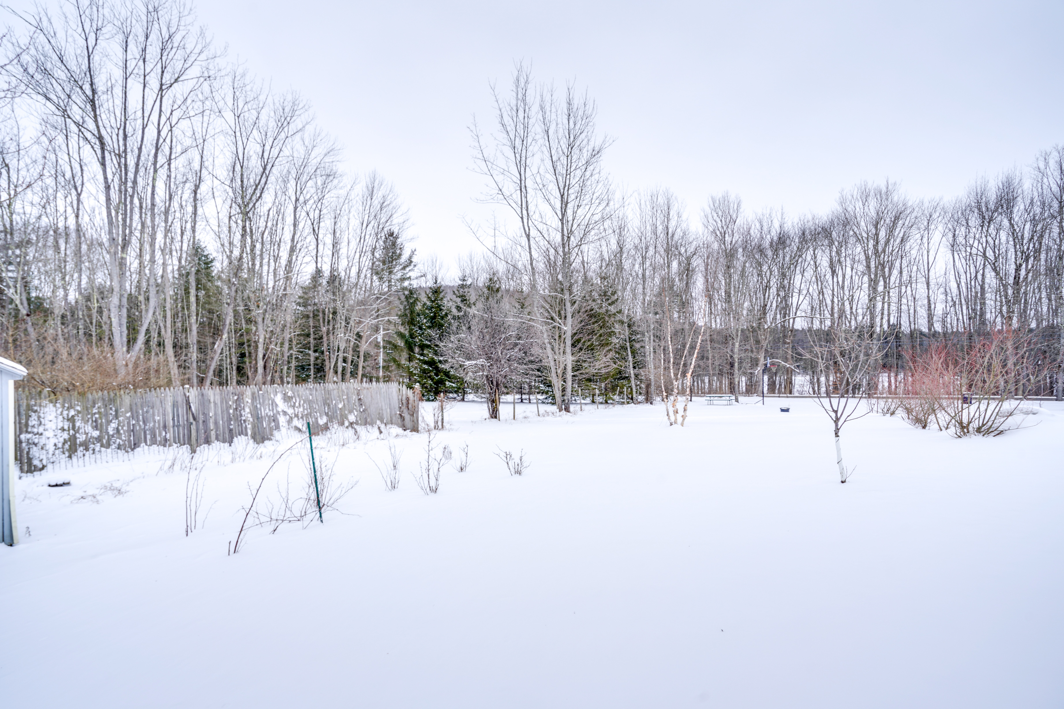 Property Image 1 - Colorful Milford Home on 7 Wooded Acres!