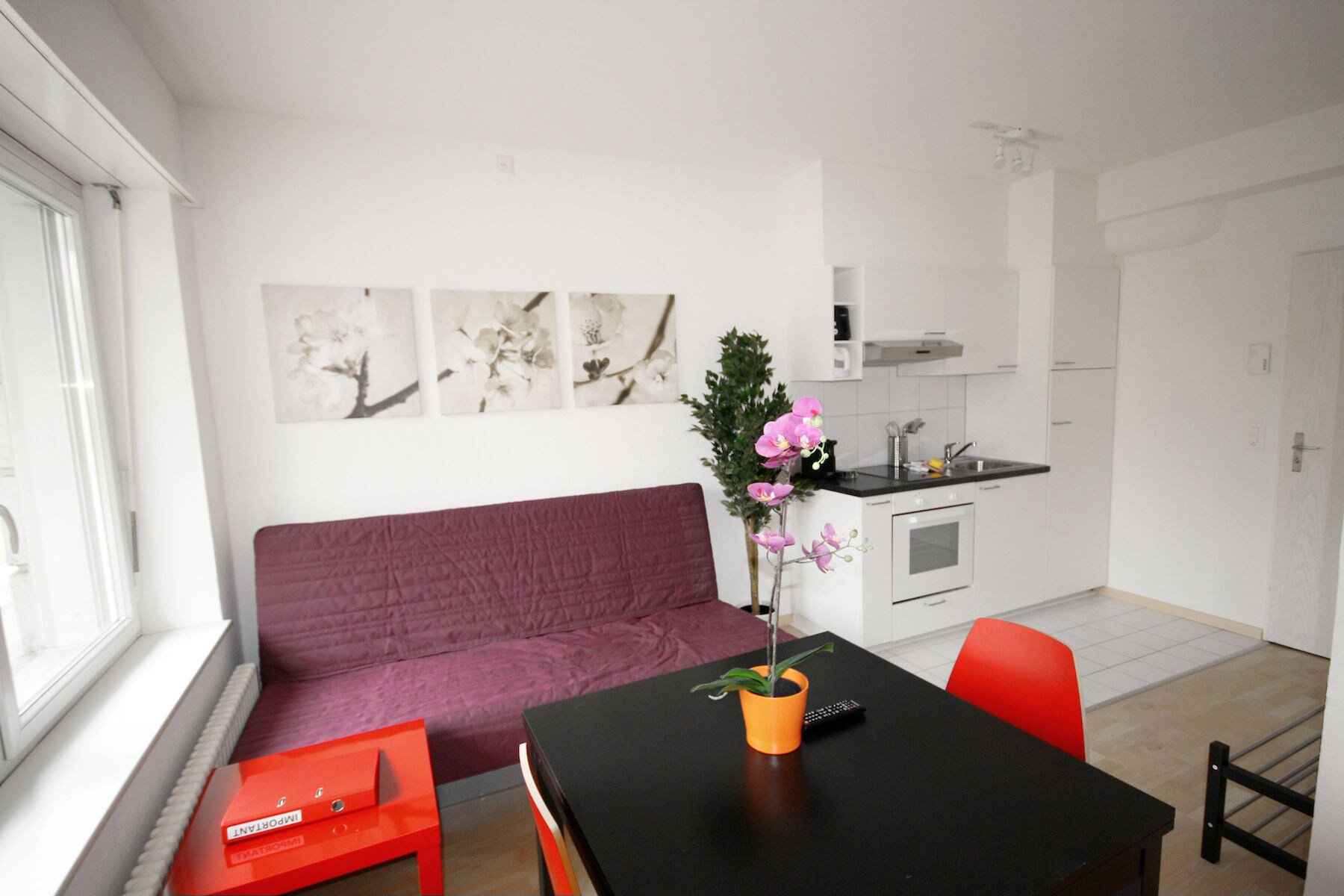 Property Image 1 - ZH Inler - Stauffacher Property Manager Apartment 