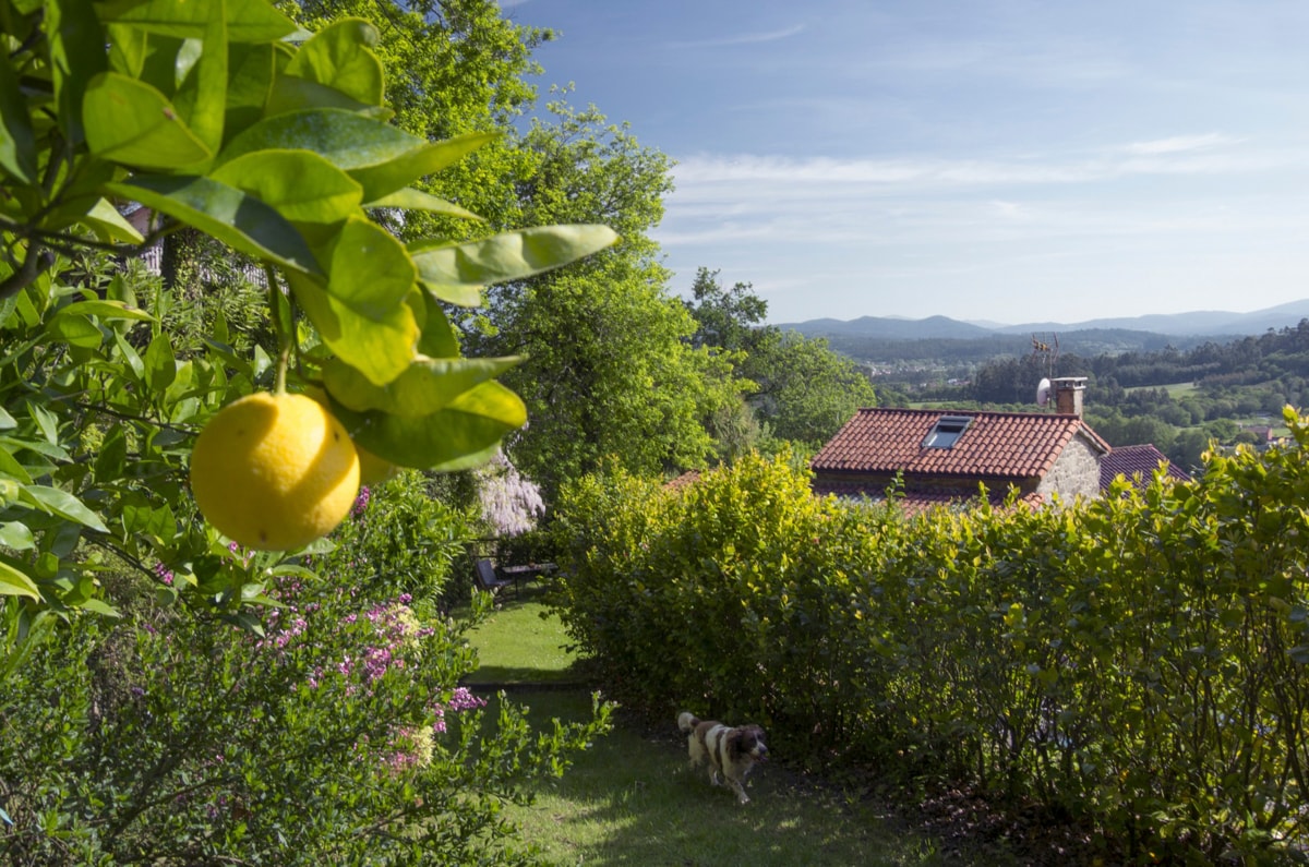 Villa Marco de Covas