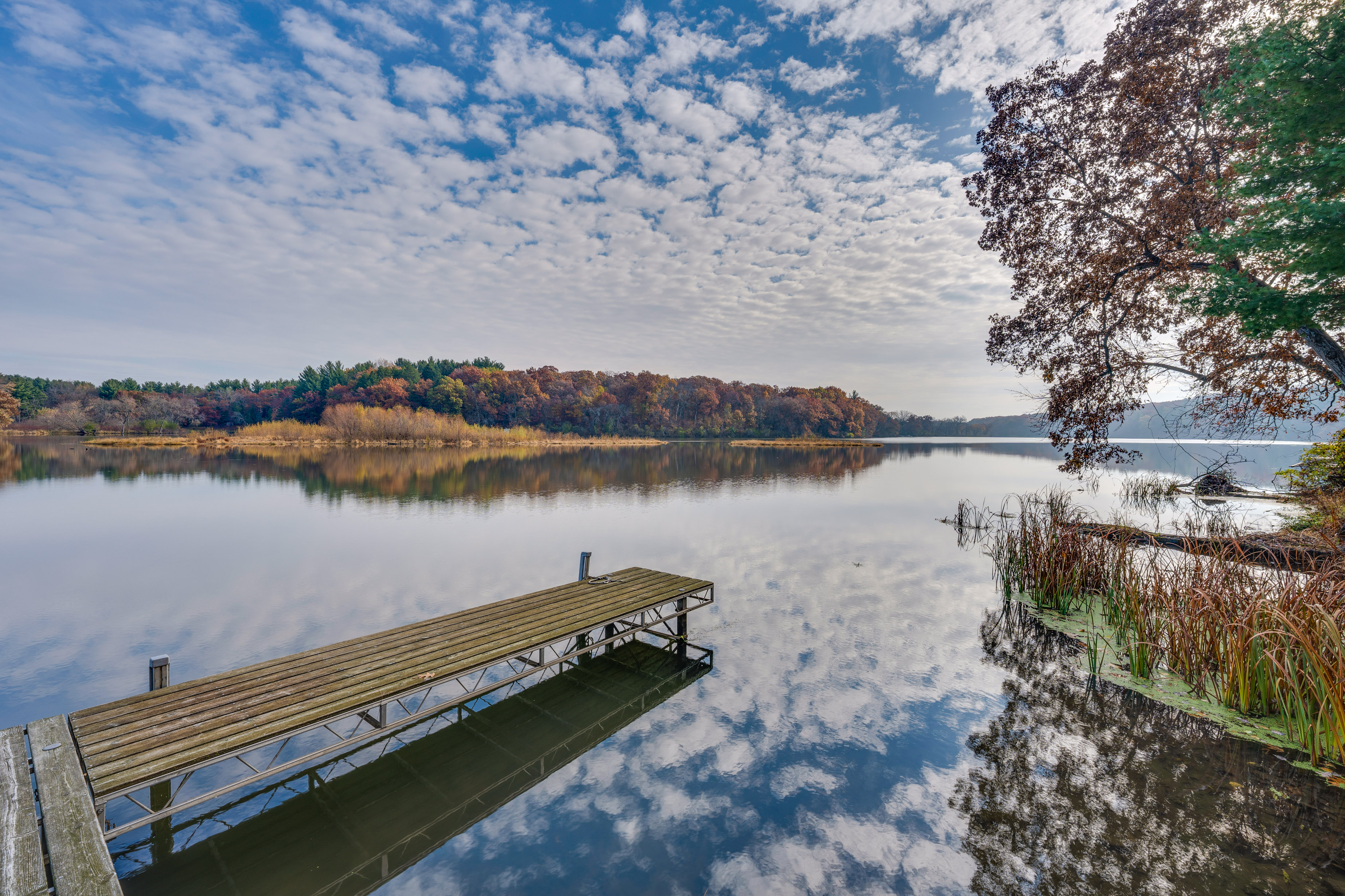 Property Image 2 - Waterfront Sugar River Cabin w/ Dock & Game Room!