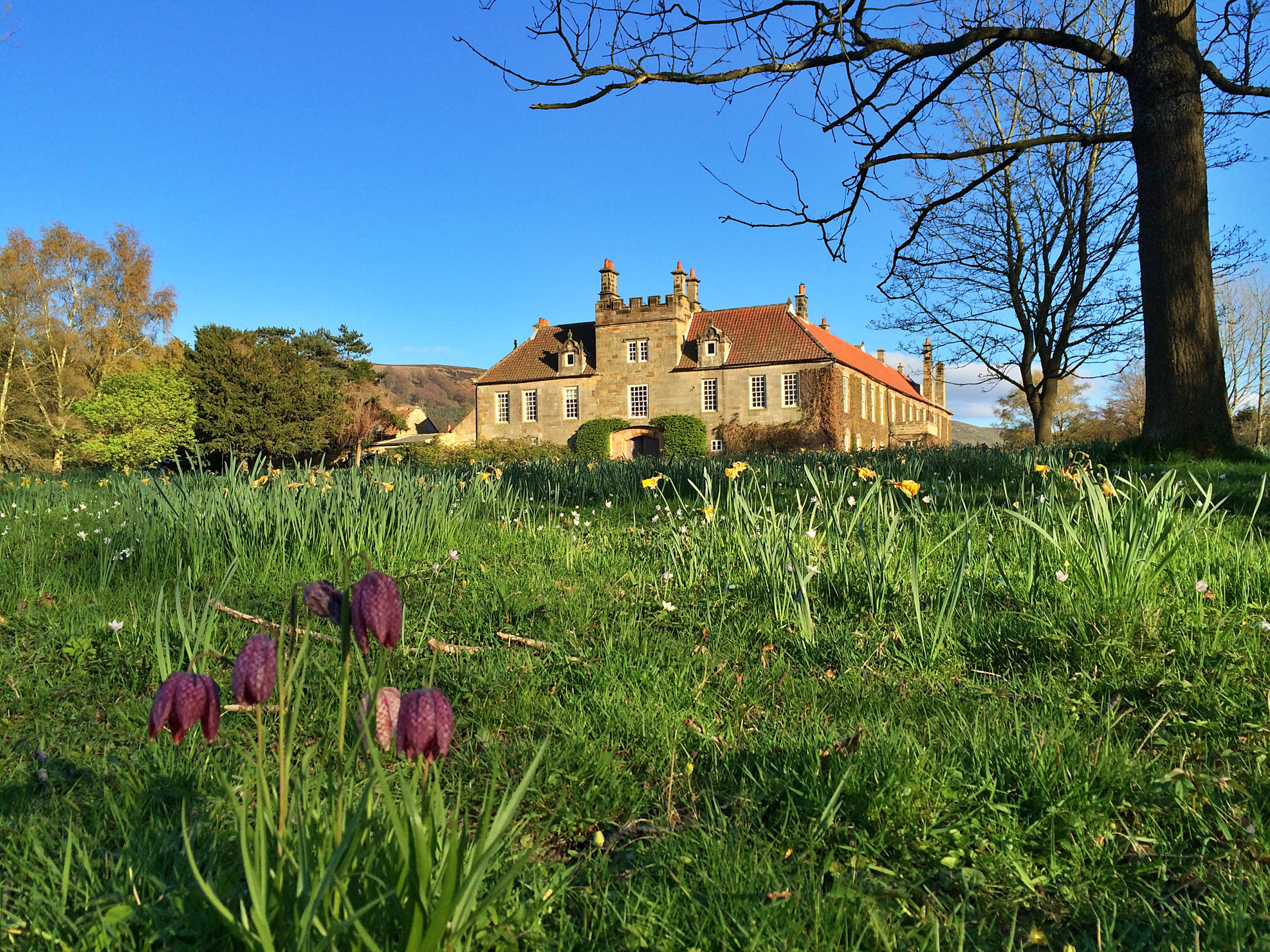 Ingleby Manor - Manor Cottage - Home Rental in Great Ayton