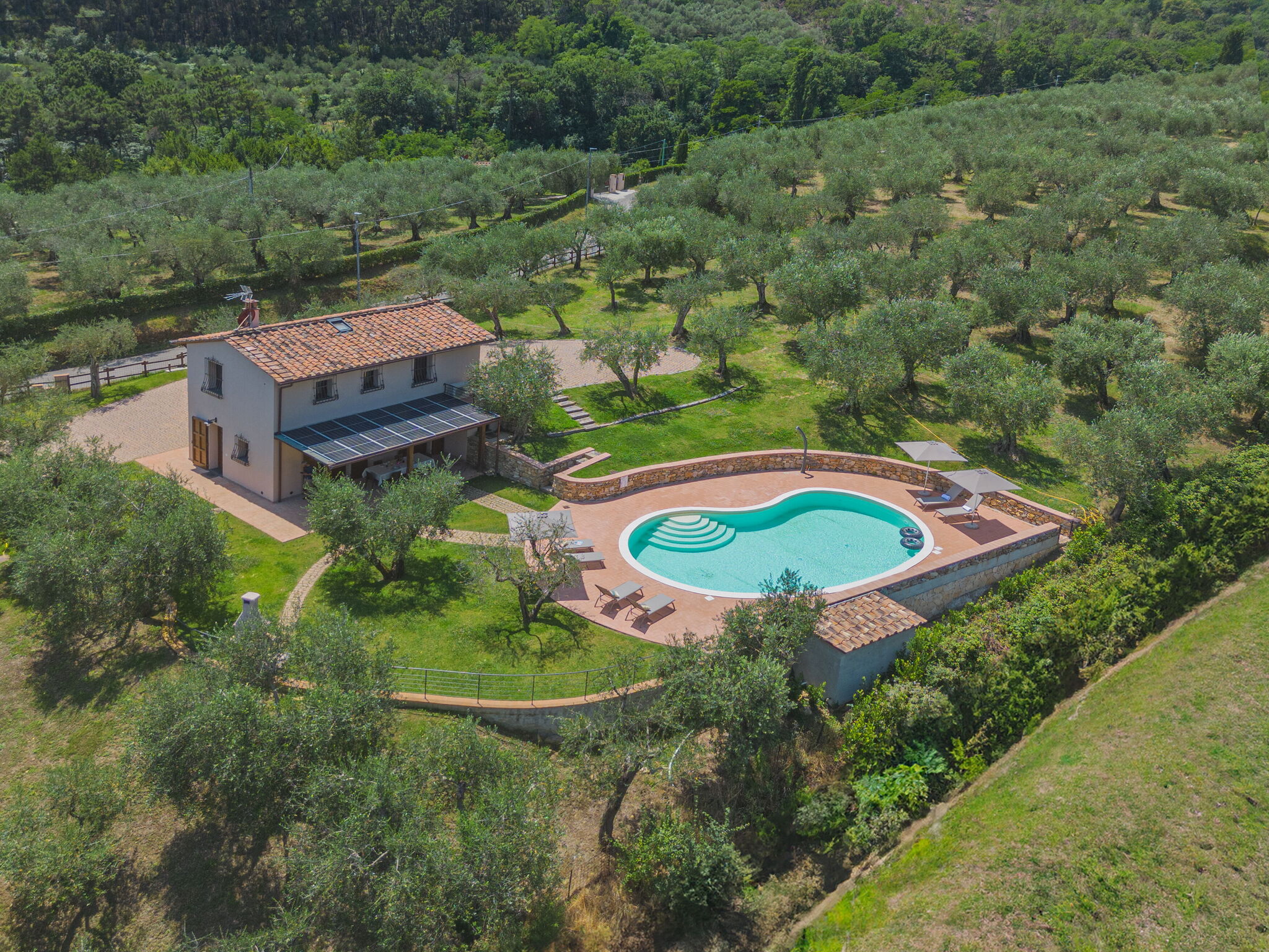 Property Image 1 - Casa Degli Olivi Di Dante