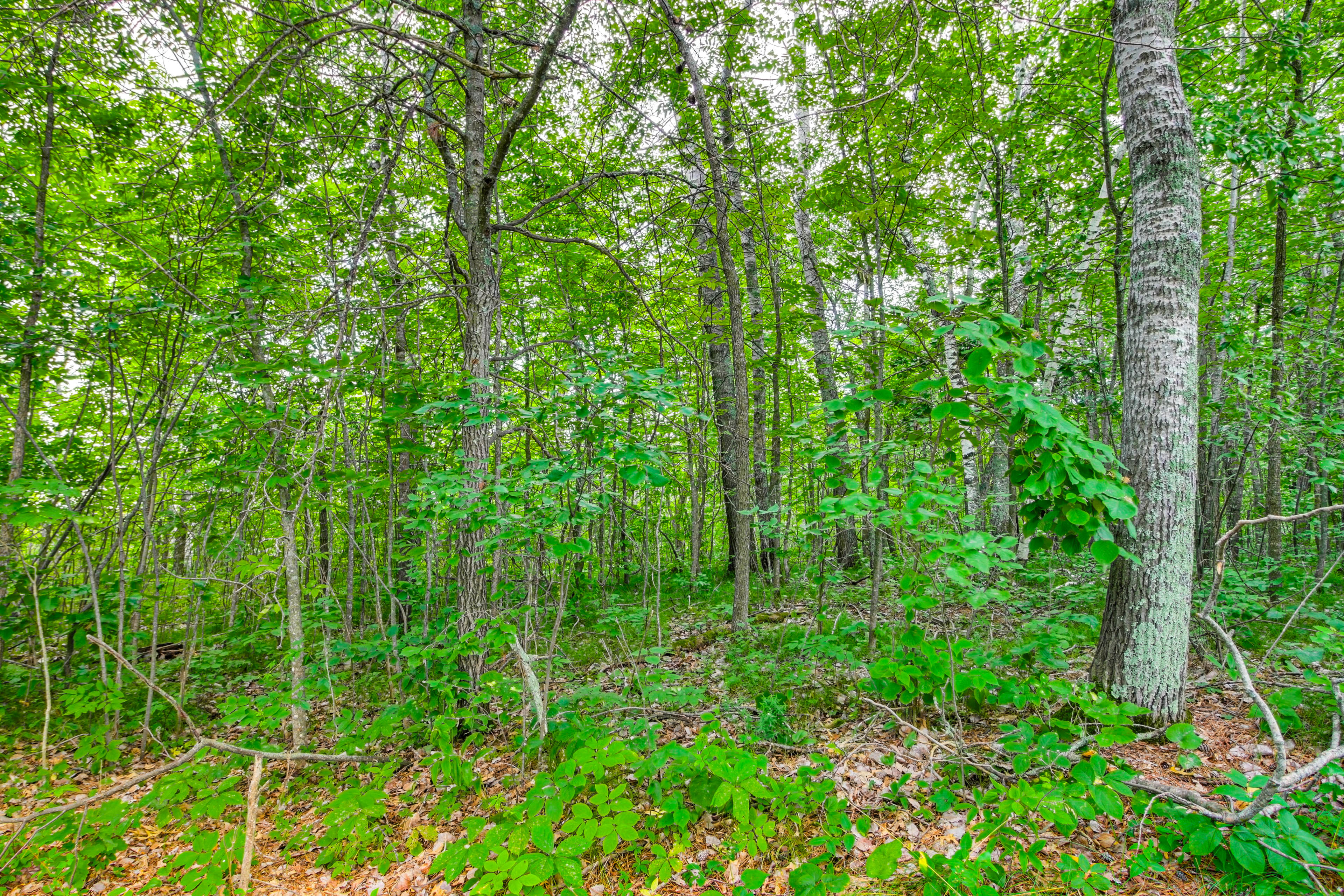 Property Image 1 - Lakefront Minnesota Home w/ Deck, Dock & Fire Pit