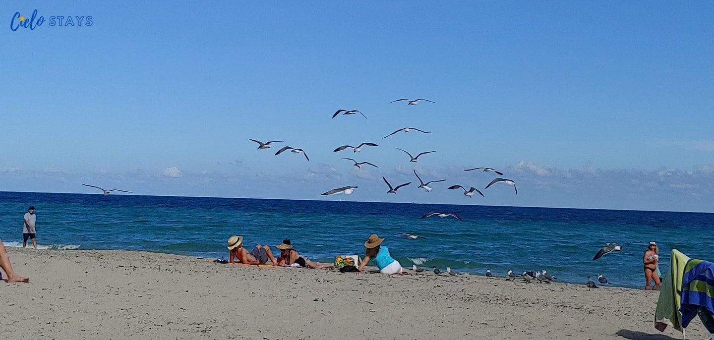 Modern Condo w/ Partial Ocean View Retreat-CS4 Modern Condo w/ Partial Ocean View Retreat-CS4